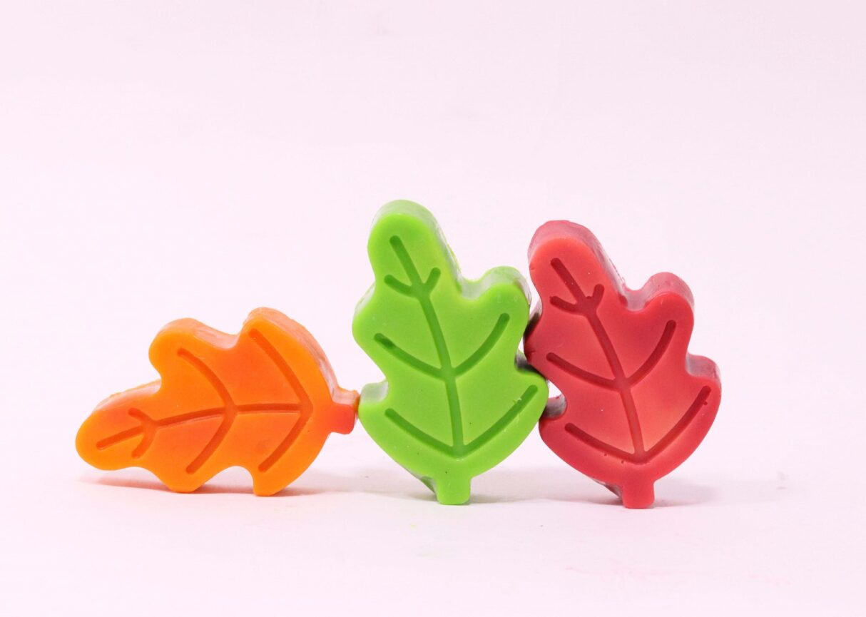 fall tree صابون