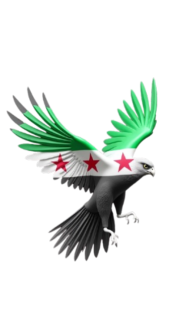 لصاقات حرارية